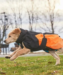 Non-stop Dogwear Glacier Dog Jacket 2.0 - Small Sizes black/orange New