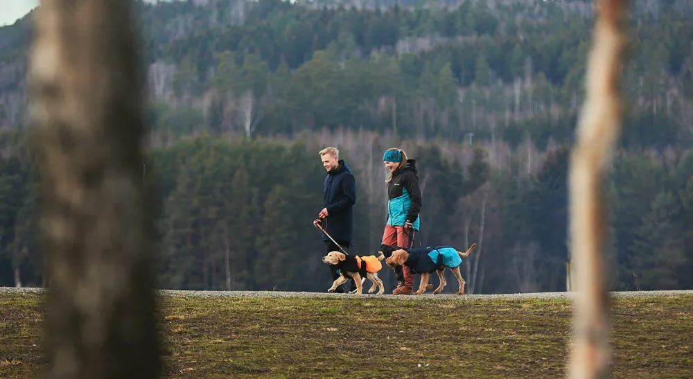 Online Glacier Dog Jacket 2.0 Hund
