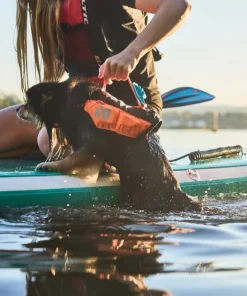 Non-stop Dogwear Protector Life Jacket Size 2-4 Black/ orange New