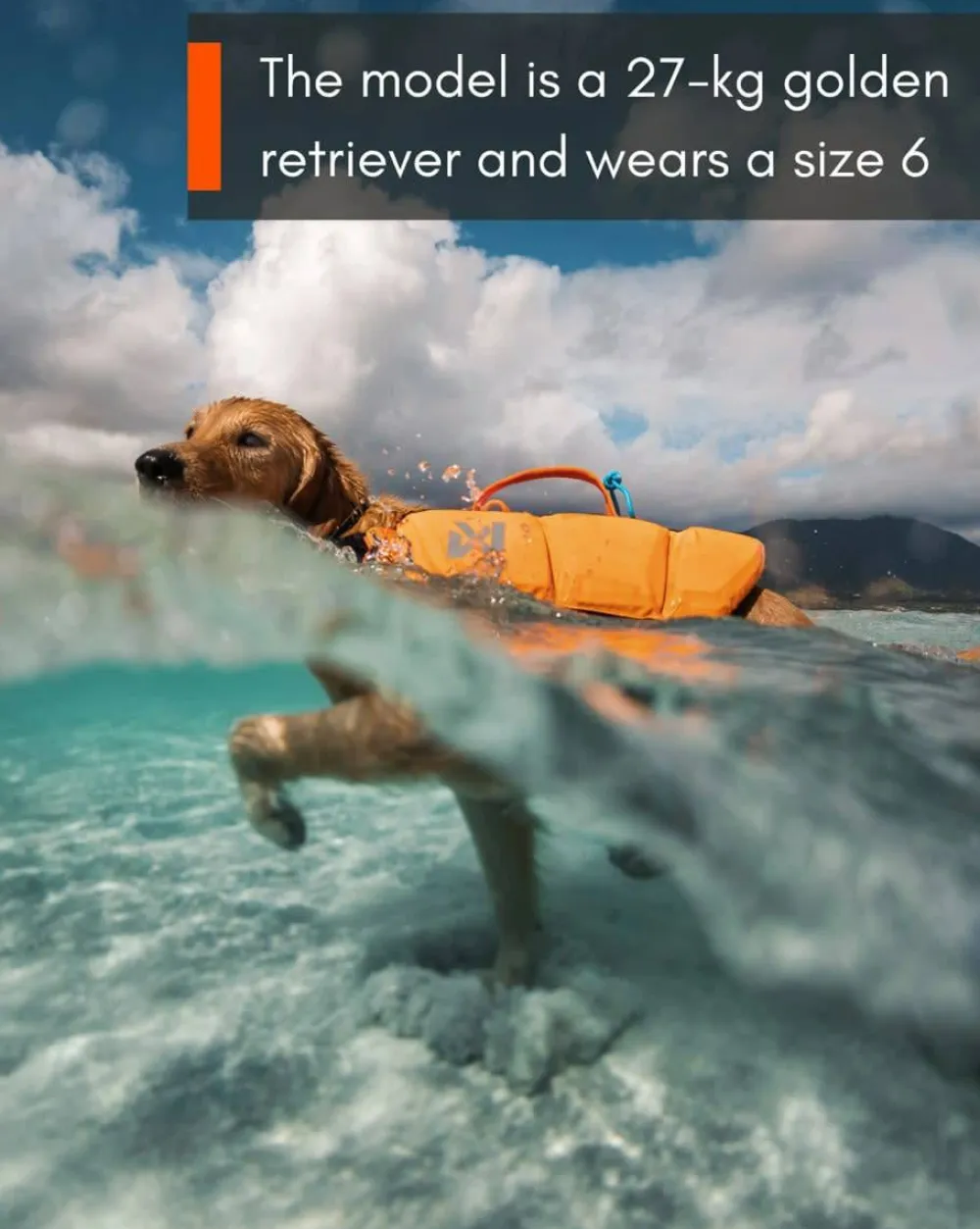 Non-stop Dogwear Protector Life Jacket Size 2-4 Black/ orange New