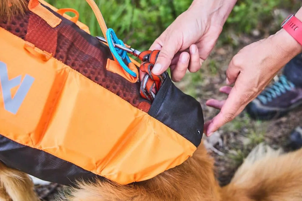 Non-stop Dogwear Protector Life Jacket Size 2-4 Black/ orange New