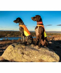 Non-stop Dogwear Protector Cover Orange Best