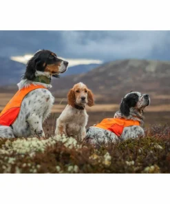 Non-stop Dogwear Protector Cover Orange Best