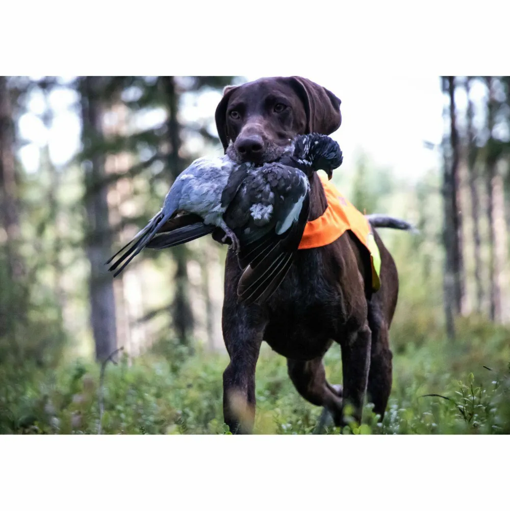 Non-stop Dogwear Protector Cover Orange Best