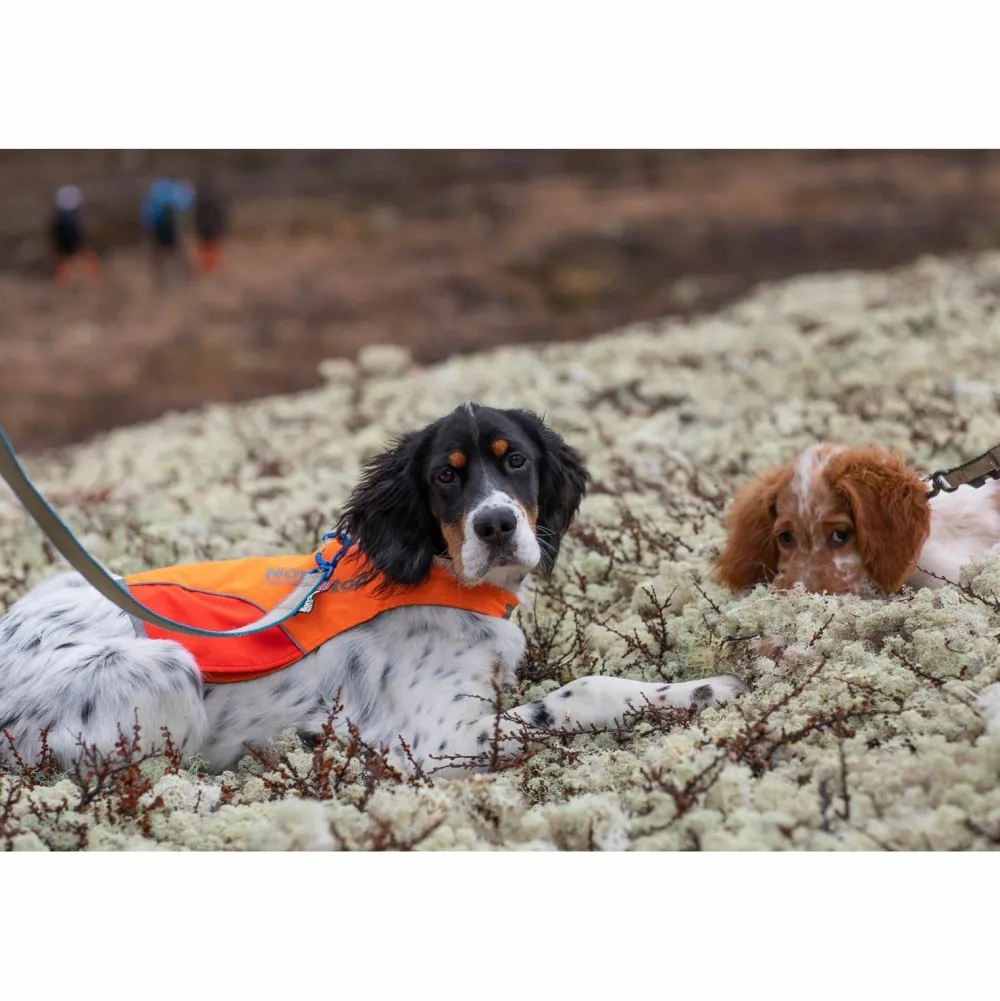 Non-stop Dogwear Protector Cover Orange Best