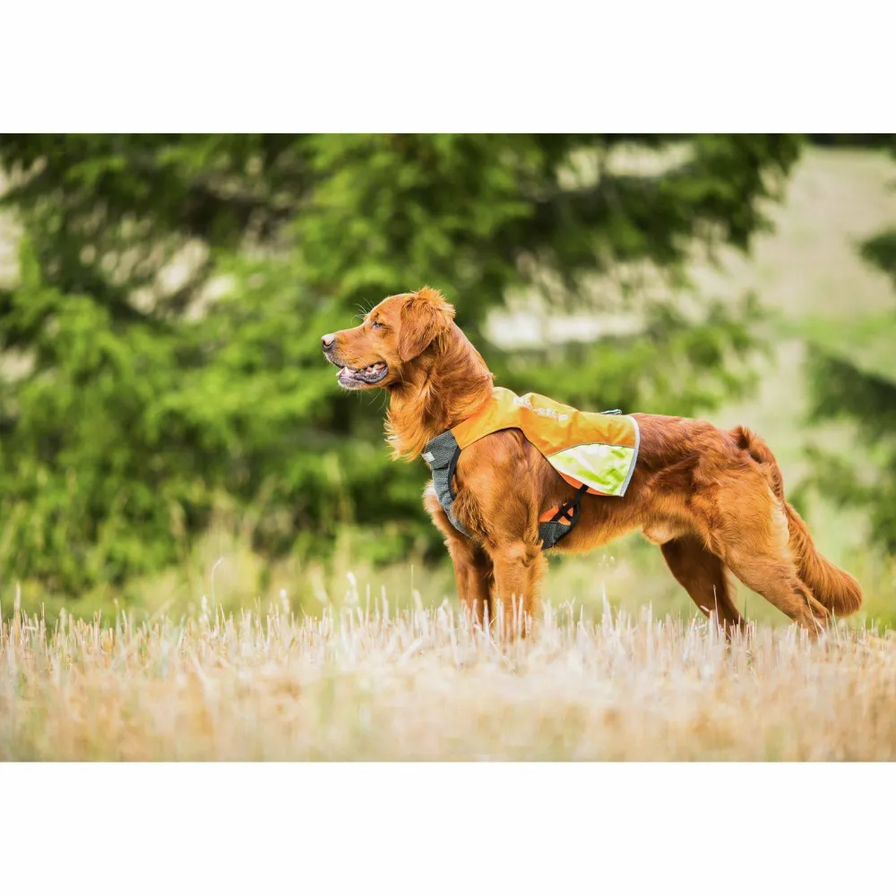 Non-stop Dogwear Protector Vest Orange Outlet