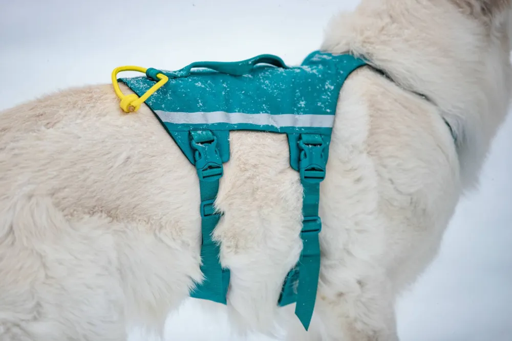 Non-stop Dogwear Ramble Harness Long Blue Online