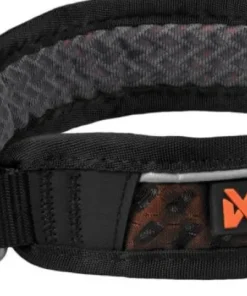 Rock Collar 3.0 Hund