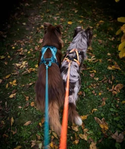 Non-stop Dogwear Rush Harness Teal New