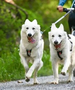Non-stop Dogwear Touring Double, Wide Screw-Lock grey Best