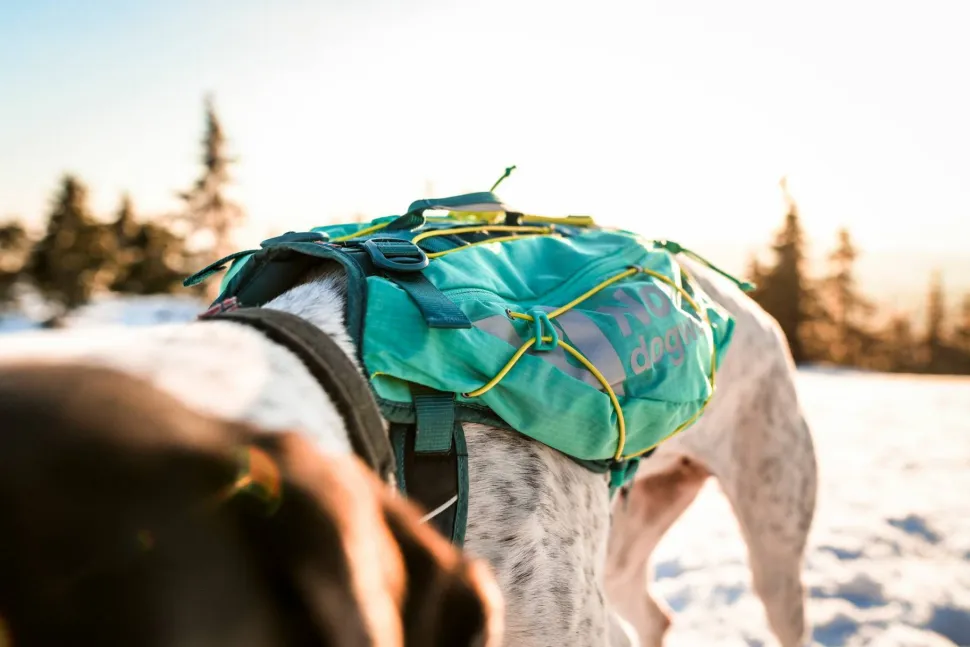 Non-stop Dogwear Trail Light Dog Backpack Teal
