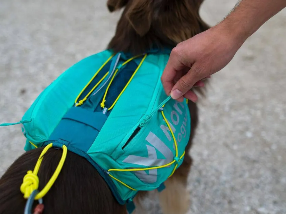Non-stop Dogwear Trail Light Dog Backpack Teal
