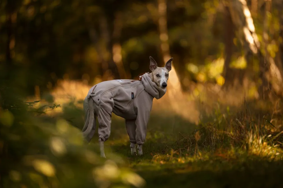 Non-stop Dogwear Trail Quest Fleece Overall Sand