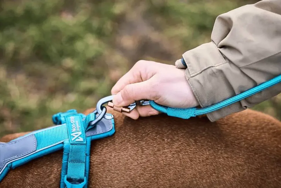 Non-stop Dogwear Trekking Rope Leash Orange