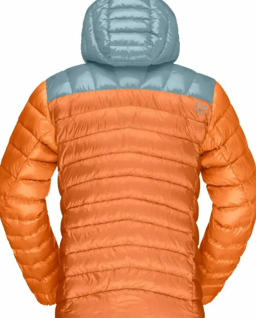 Online Men's Lyngen Down850 Hood Skidkläder Herr|Herrjackor