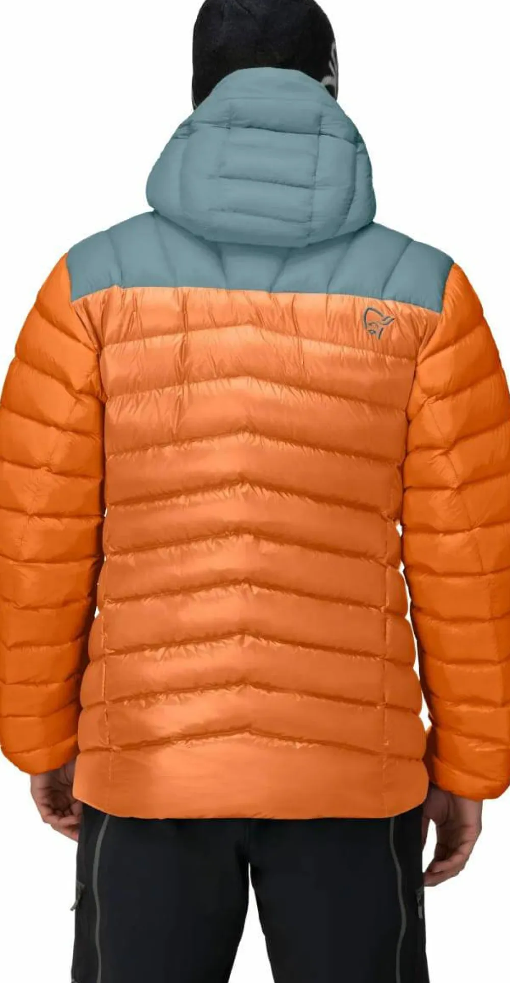 Online Men's Lyngen Down850 Hood Skidkläder Herr|Herrjackor