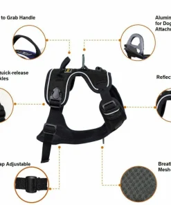 OllyDog Alpine Reflective Harness Flint Hot