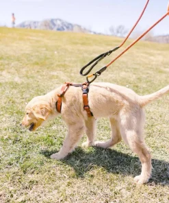 OllyDog Alpine Reflective Comfort Harness Clay