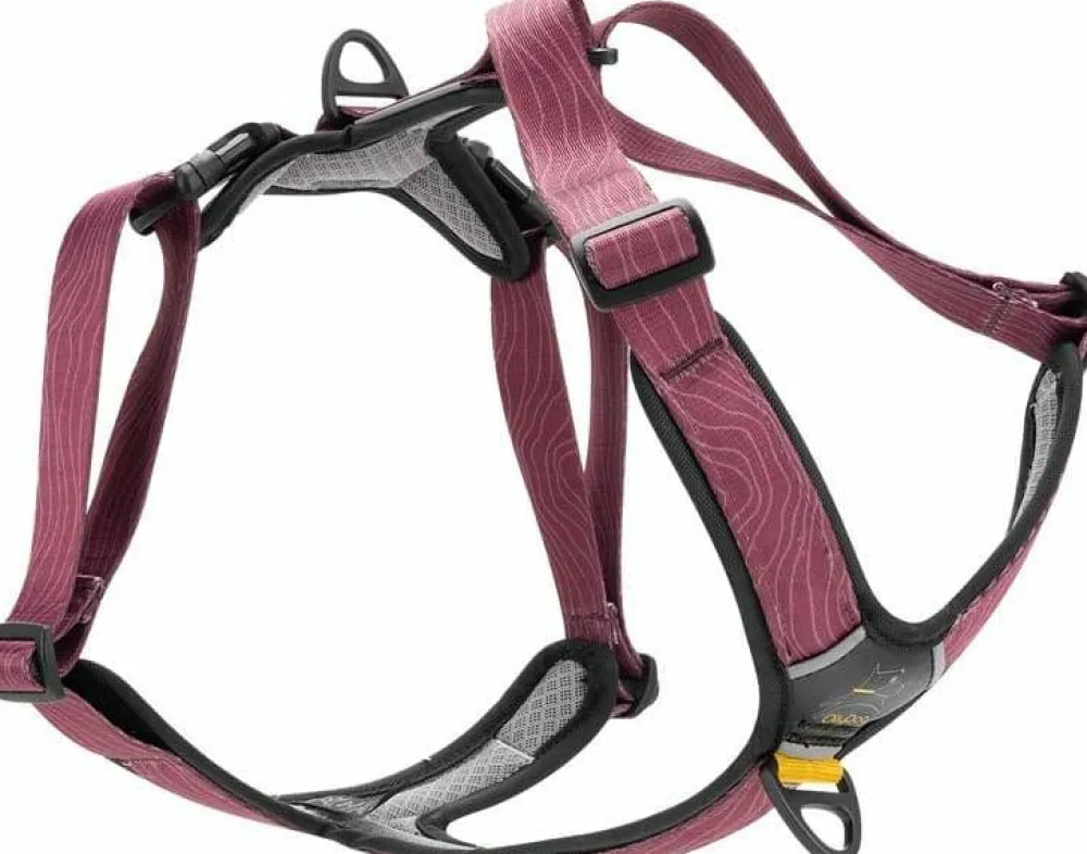 New Alpine Reflective Comfort Harness Hund