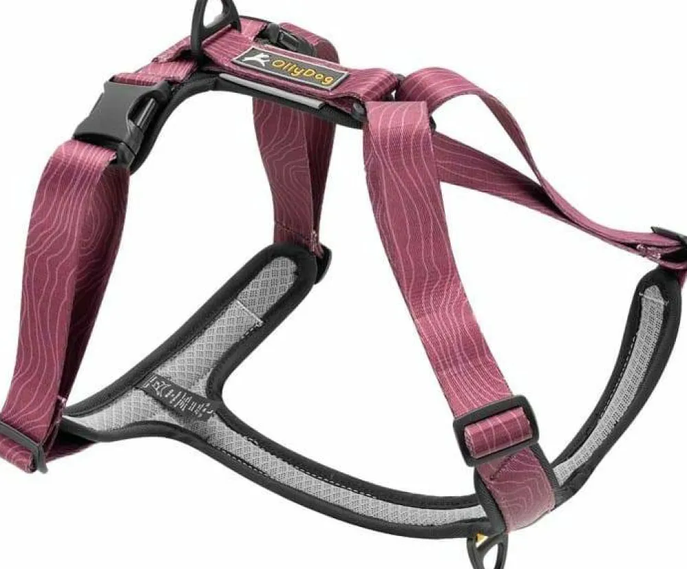 New Alpine Reflective Comfort Harness Hund