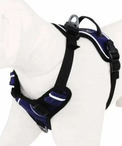 Clearance Alpine Reflective Harness Hund