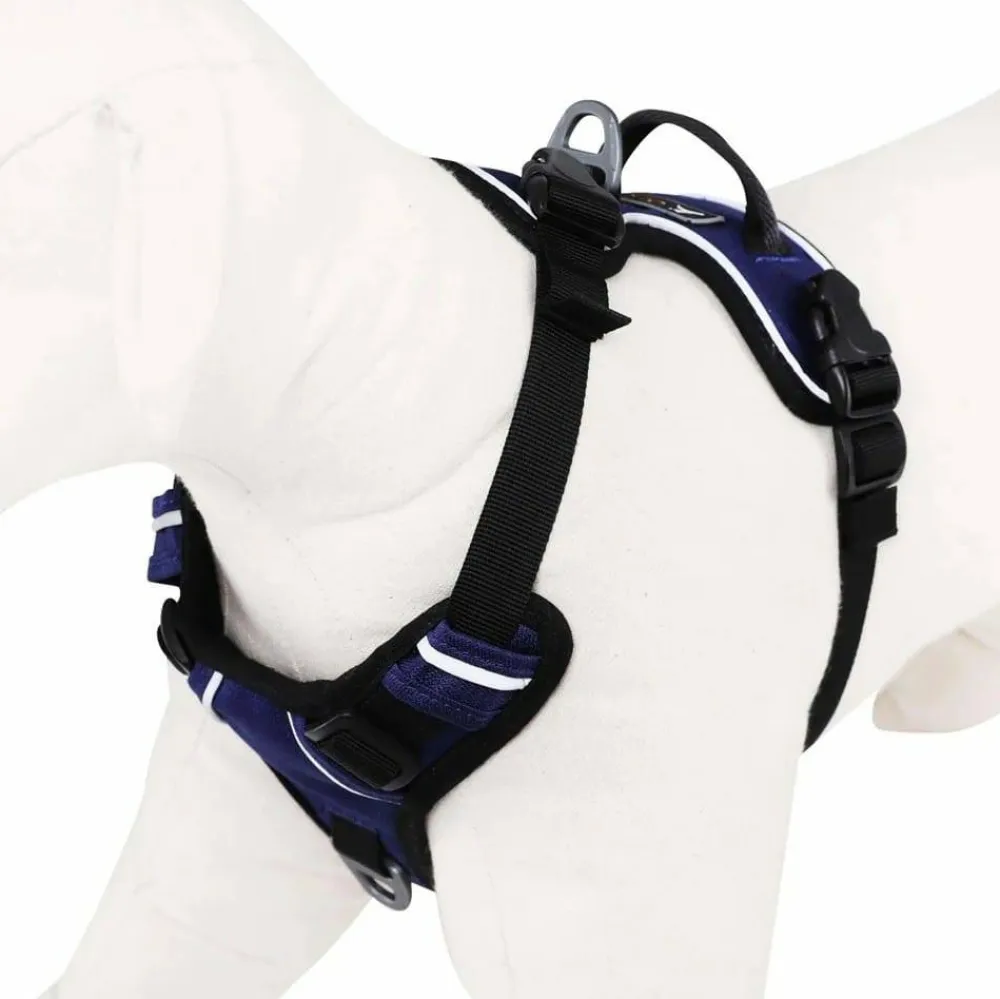 Clearance Alpine Reflective Harness Hund