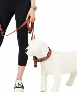 OllyDog Flagstaff Adjustable Leash Clay Clearance