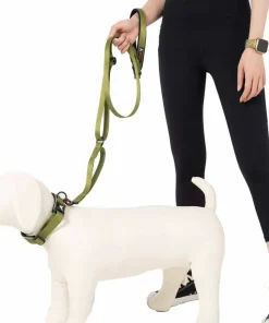 OllyDog Flagstaff Adjustable Leash Cactus Hot