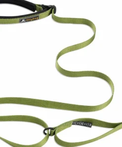 OllyDog Flagstaff Adjustable Leash Cactus Hot