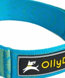 OllyDog Flagstaff Collar Sky Bark