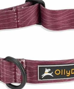 OllyDog Flagstaff Collar Rosewood Best