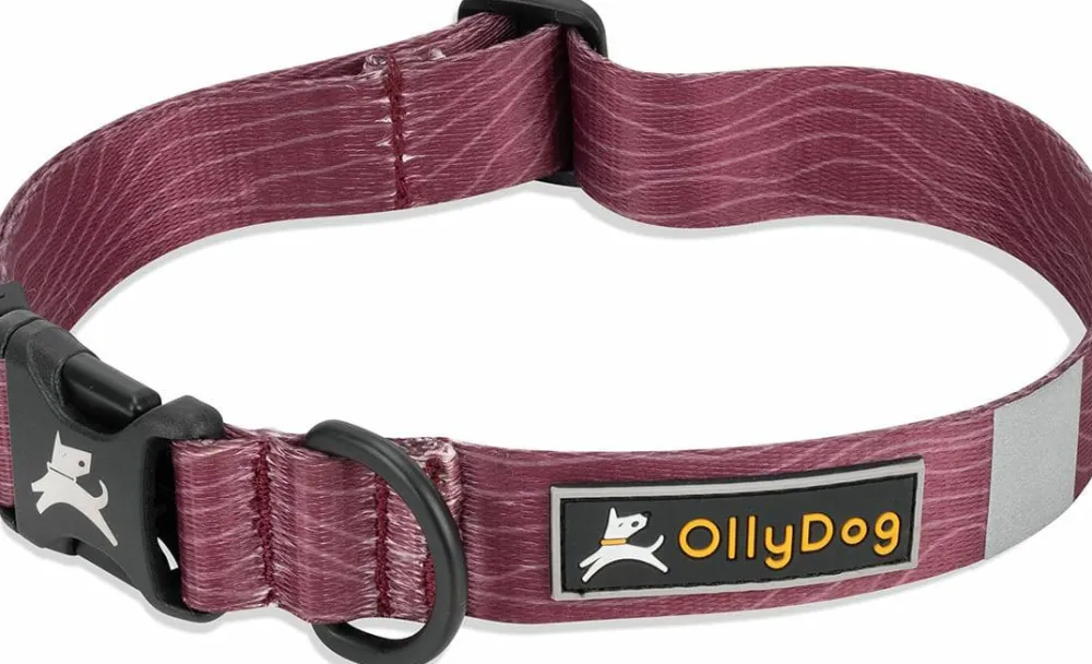OllyDog Flagstaff Collar Rosewood Best