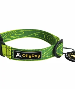 Best Flagstaff Collar Hund