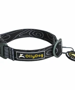 OllyDog Flagstaff Collar Raven Bark
