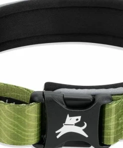 OllyDog Flagstaff Reflective Comfort Collar Cactus