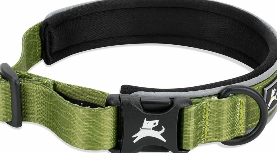OllyDog Flagstaff Reflective Comfort Collar Cactus