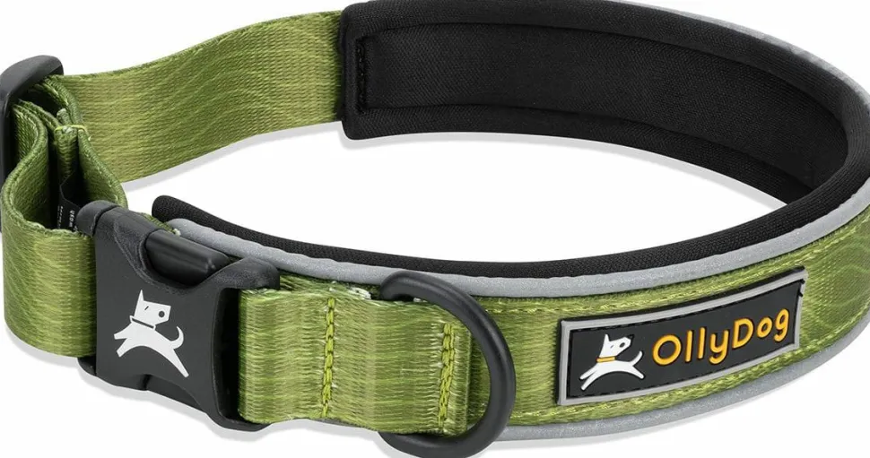 OllyDog Flagstaff Reflective Comfort Collar Cactus