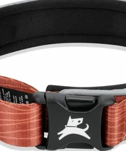Hot Flagstaff Reflective Comfort Collar Hund