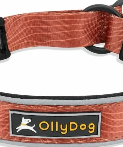 OllyDog Martingale Reflective Comfort Collar Clay Outlet