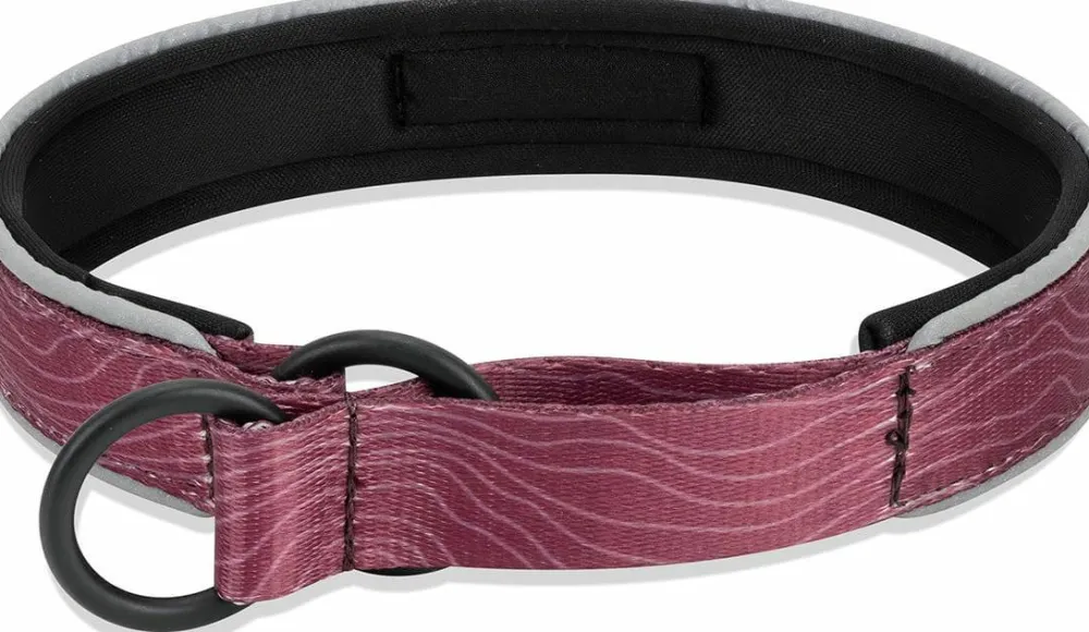 OllyDog Martingale Reflective Comfort Collar Rosewood Sale