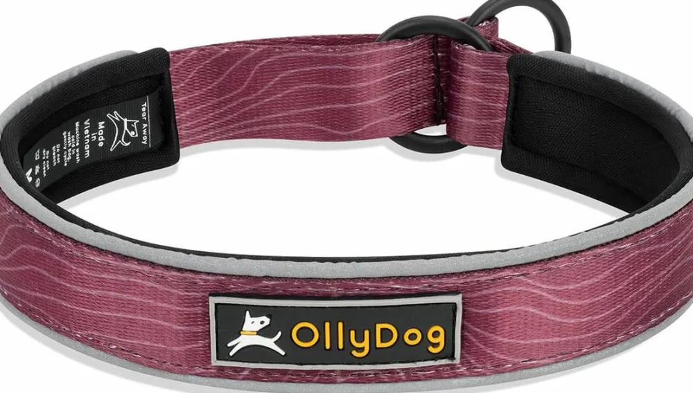 OllyDog Martingale Reflective Comfort Collar Rosewood Sale