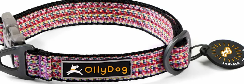 Sale Rescue Collar Hund