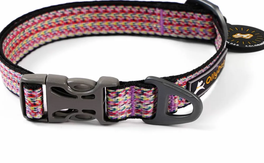 Sale Rescue Collar Hund
