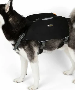 Rover Dog Pack Hund