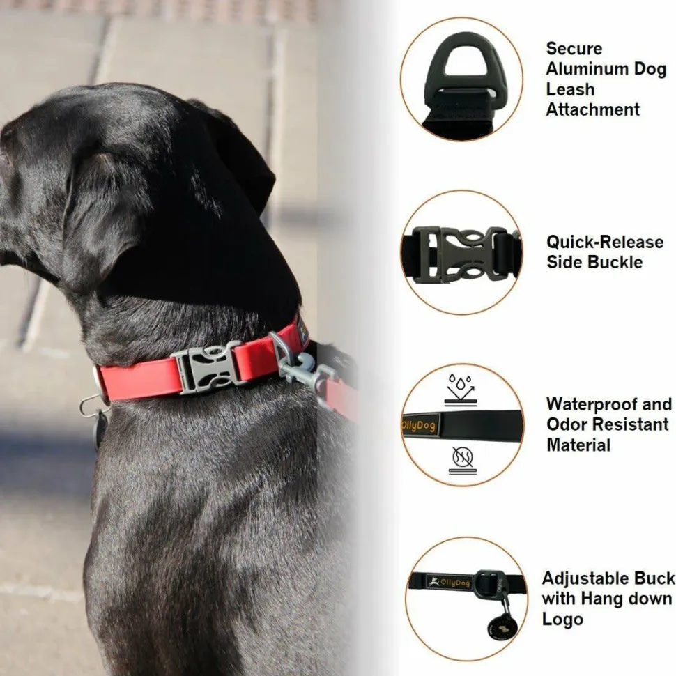OllyDog Tilden Collar Teal