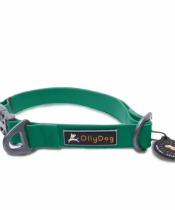 OllyDog Tilden Collar Teal