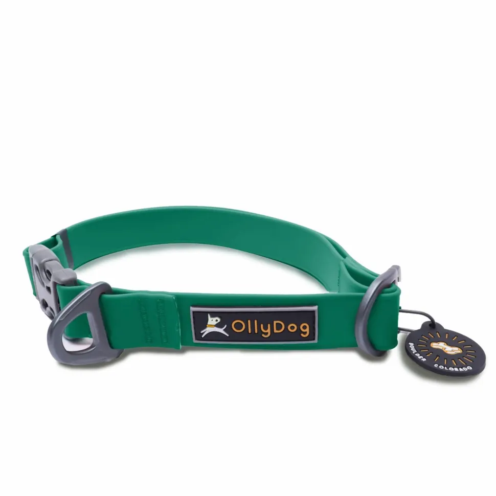 OllyDog Tilden Collar Teal