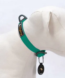 OllyDog Tilden Collar Teal