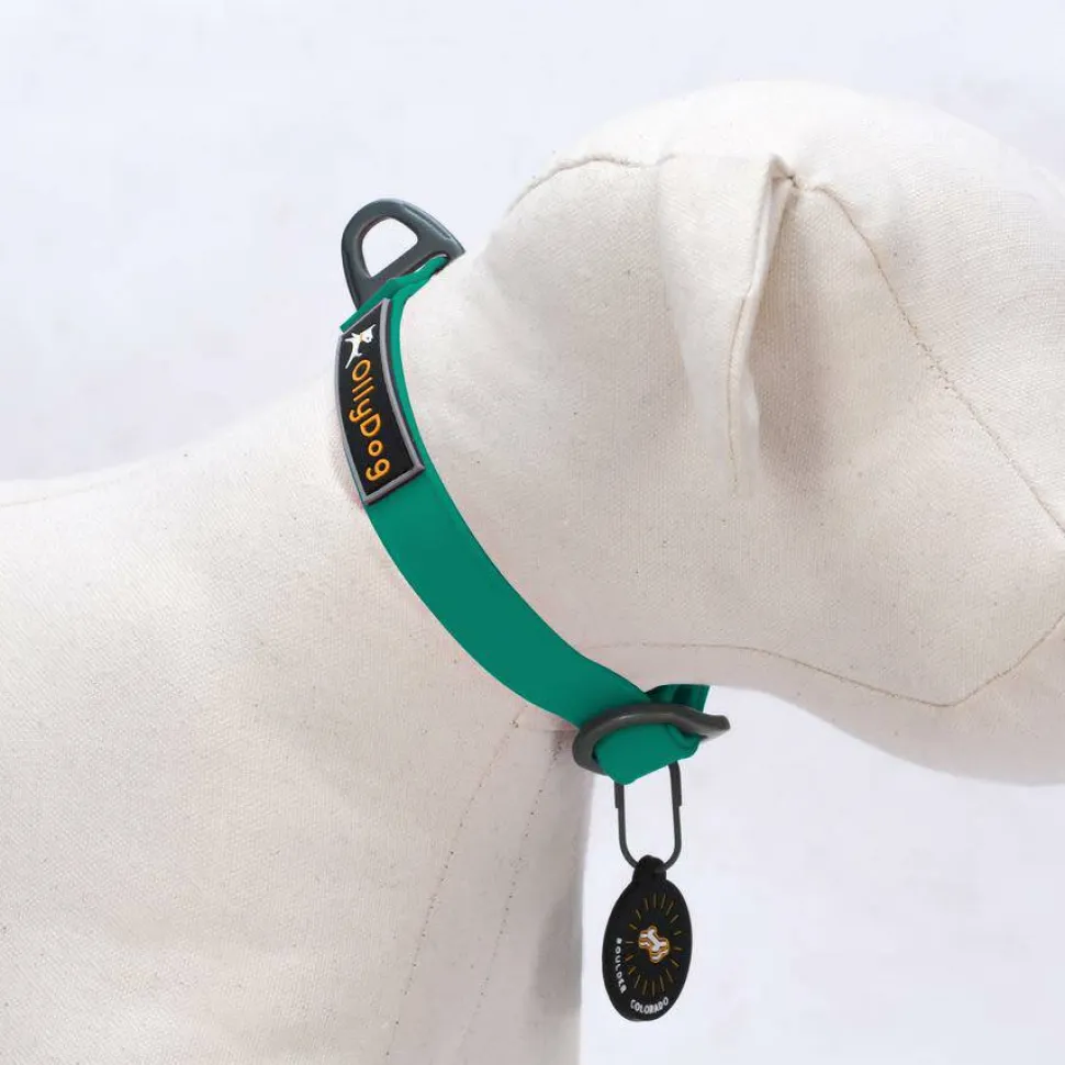 OllyDog Tilden Collar Teal