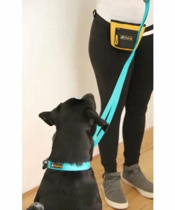 OllyDog Tilden Collar Teal